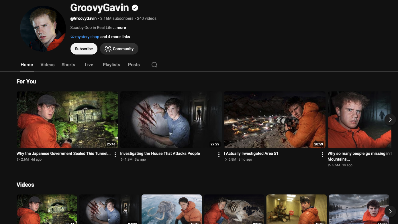 GroovyGavin campaign clips